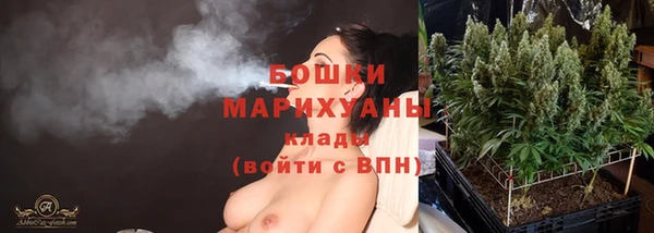 сатива Балахна