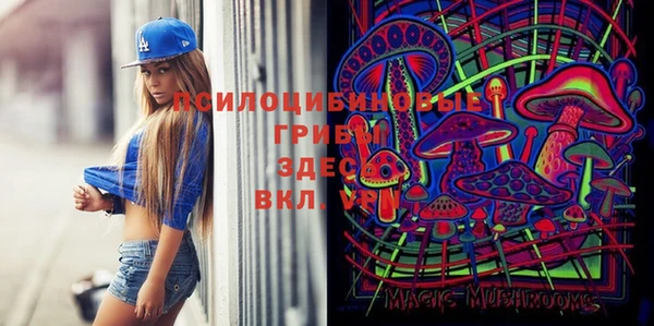 сатива Балахна
