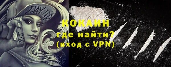 сатива Балахна
