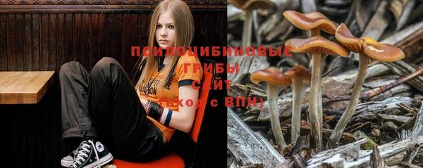 сатива Балахна