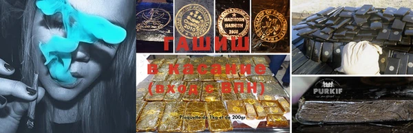 сатива Балахна